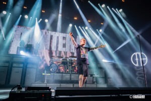 Pantera foto Paweł Mielko
